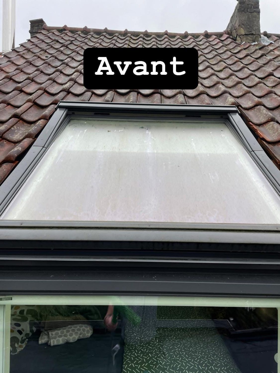Velux avant nettoyage