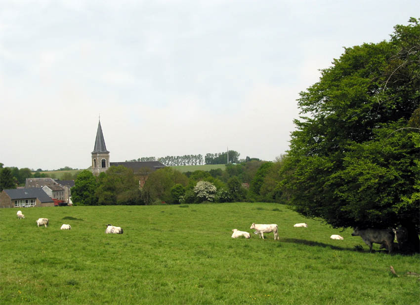 Gesves — commune où VitrePure lave les vitres